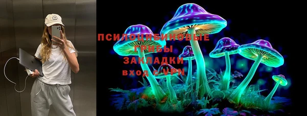 гидра Нея