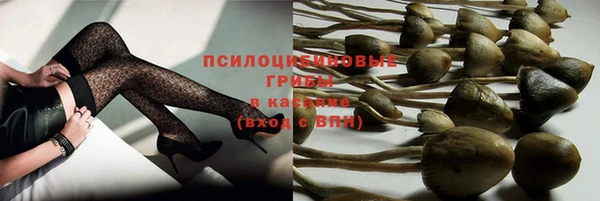 гидра Нея