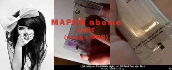 гидра Нея
