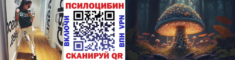 Псилоцибиновые грибы мицелий  дарнет шоп  Саратов 