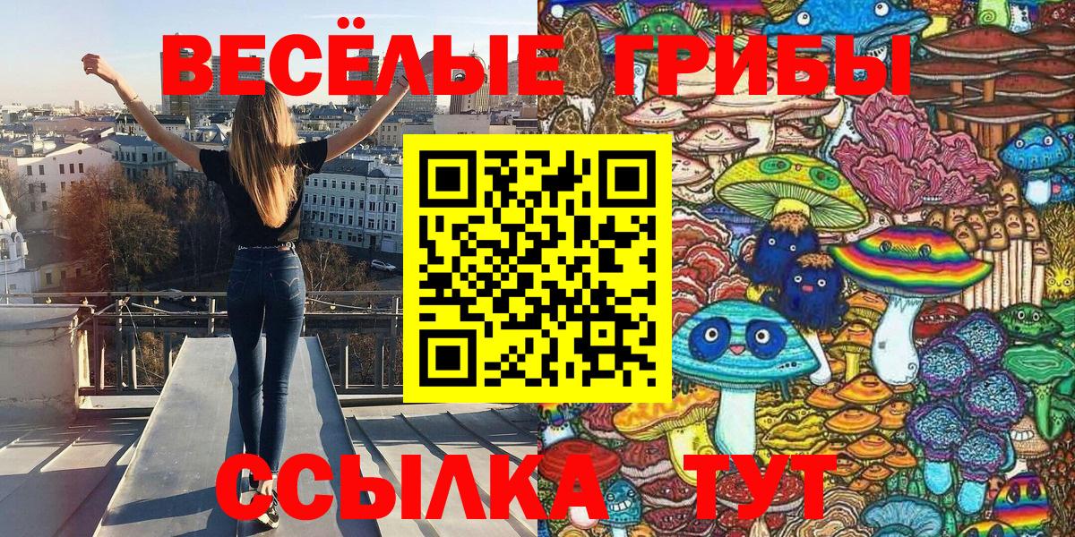 Псилоцибиновые грибы мицелий Саратов